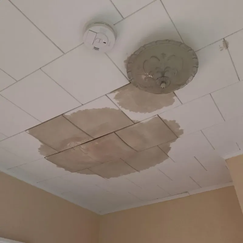 Ceiling Water Damage Repair in Harris County, TX