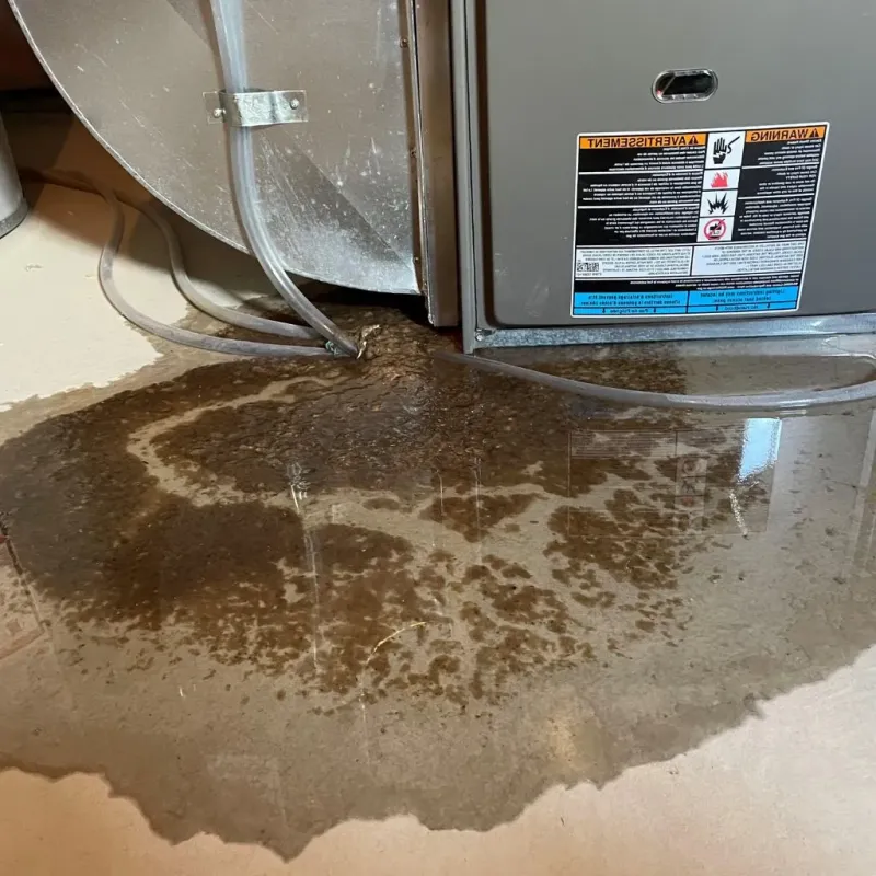 Pipe Burst and Leak Restoration in Harris County, TX